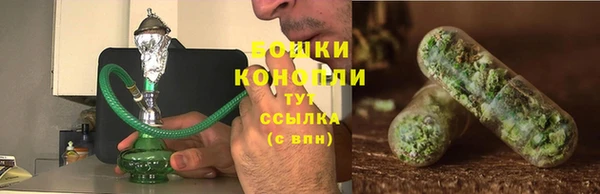 гидропоника Нязепетровск